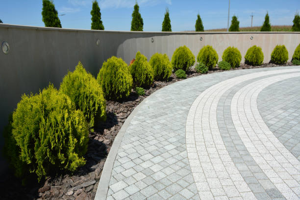 Best Driveway Repair Near Me  in Osceola, WI